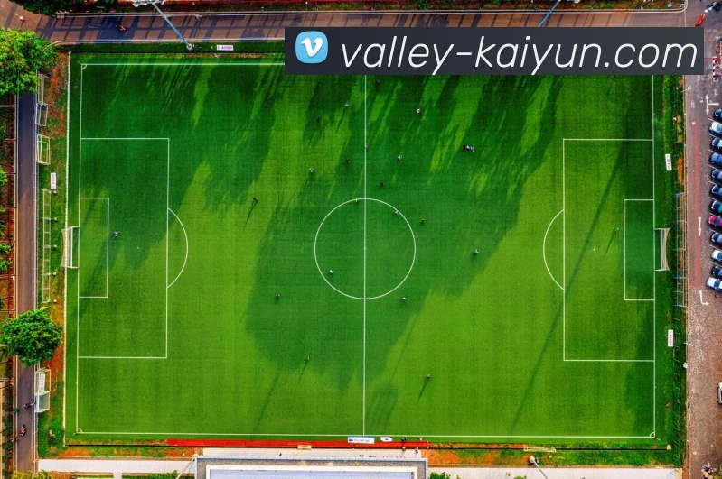 开云官网平台生态图