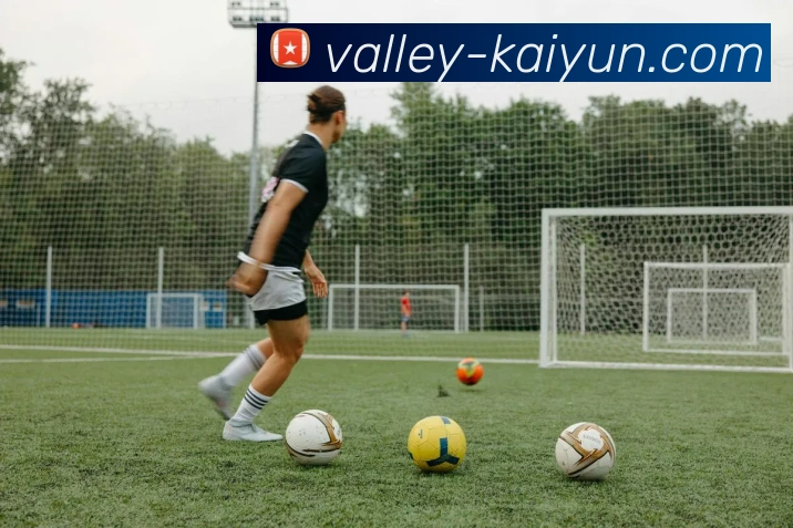 开云官网全站App